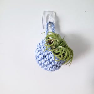 May include: A light blue crocheted hanging basket with a thick yarn texture, featuring a small loop at the top for mounting. A green air plant with thin, curled leaves is tucked inside the basket, which is suspended from a clear plastic hook.