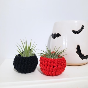 May include: Two small air plants housed in round, textured crochet holders, one in solid black and one in vibrant red, positioned next to a white ceramic planter decorated with black bat silhouettes.