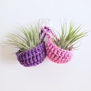 May include: Two small, round, crocheted hanging baskets, one in deep purple and one in light pink, each holding a spiky green air plant. The baskets are suspended from a clear plastic adhesive hook attached to a plain white wall surface.