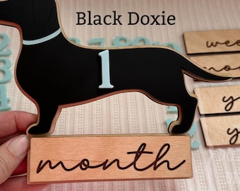 Austauschbare Dackel Geburtsdaten und monatliche Meilensteine Foto Requisiten | Hund Nursey, Babypartygeschenk | Dackel, Dackel, Dackel