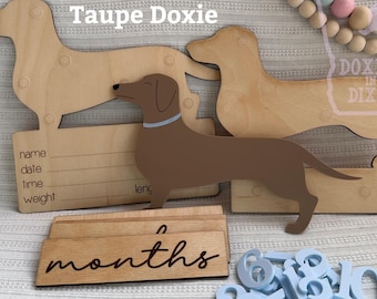 Stats interchangeables sur les naissances de bébés teckels Cartes mensuelles Doxie Accessoires photo pour chien saucisse Faire-part de naissance de chien viennois d'un jalon important