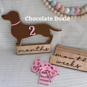 Verwisselbare geboortestatistieken baby Doxie Maandkaarten Worsthond Fotorekwisieten Teckel mijlpaal Worstje Geboortekaartje