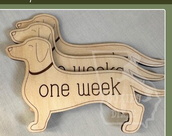 Plaque en bois jalon de la semaine pour bébé, marqueurs teckel, plaques d'âge en bois pour accessoires photo, chambre de bébé, cadeau de baby shower | Doxie, chien viennois