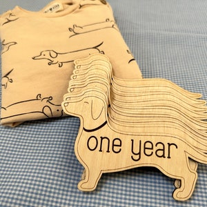 Plaque en bois Jalon mensuel pour bébé, Marqueurs teckel, Plaques d'âge en bois pour accessoires photo, Chambre de bébé, Cadeau baby shower | Doxie, chien viennois