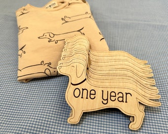 Baby Monthly Milestone Wooden Plaque, Dachshund Markers, Wood Age Plaques for Photo Props, Dog Nursey, Baby Shower Gift | Doxie, Wiener Dog