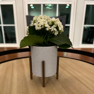 May include: A white ceramic planter with a speckled finish sits on a wooden stand. The planter is filled with a white flowering plant with green leaves.