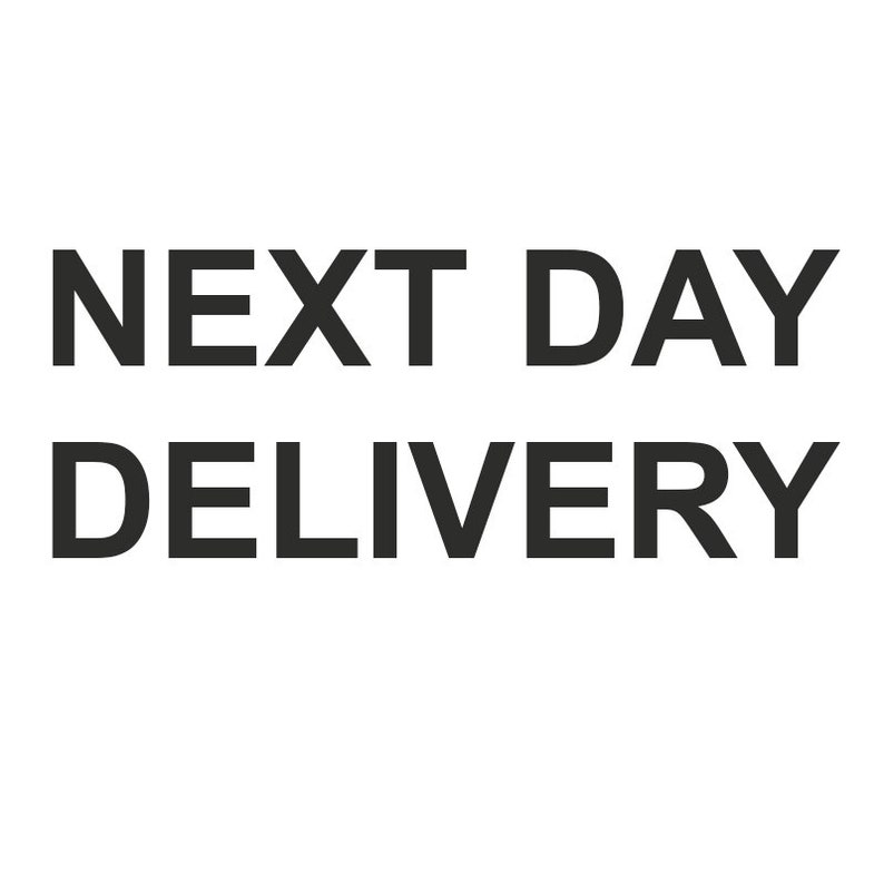 next day delivery image 1