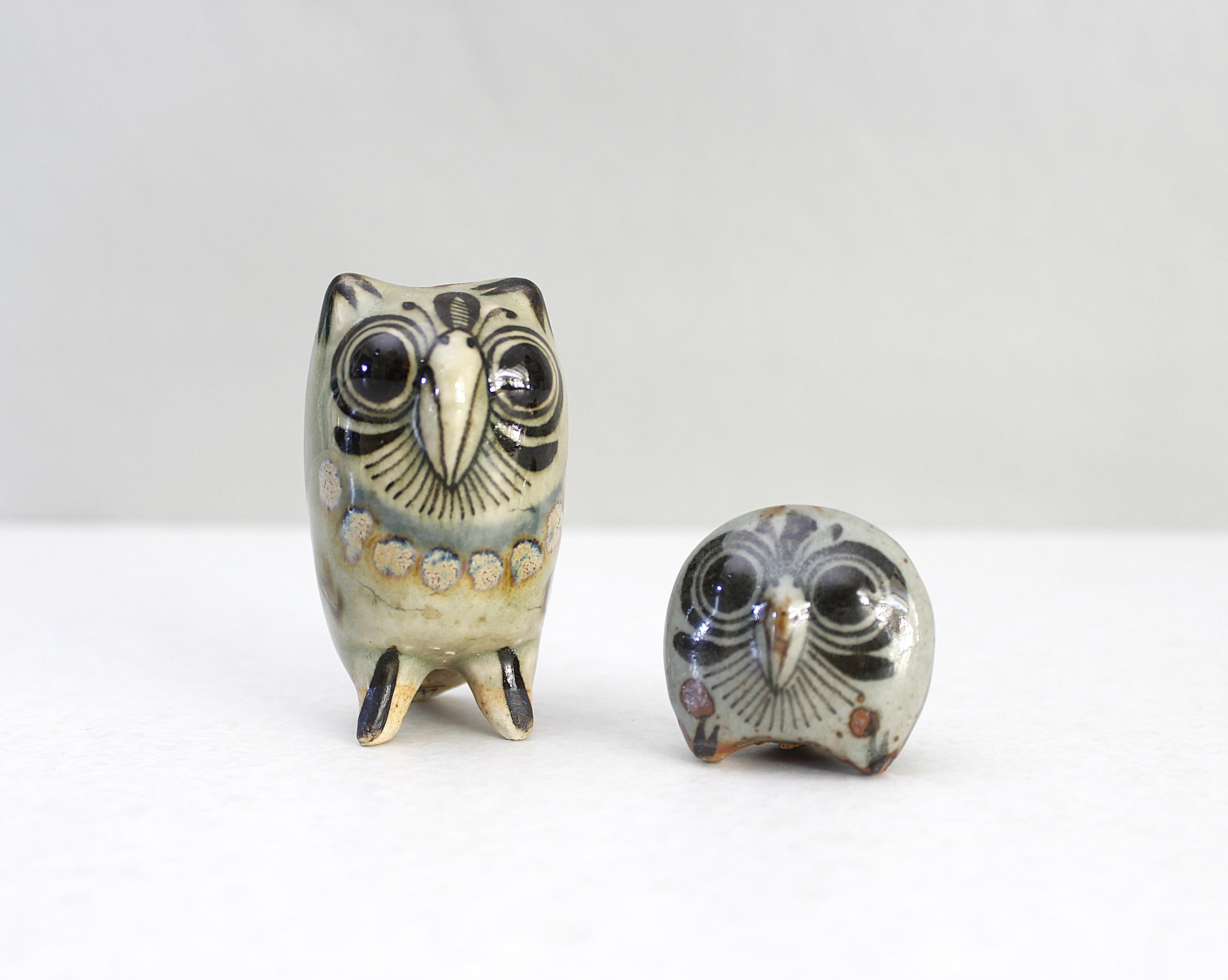 Sonaja mexicana México