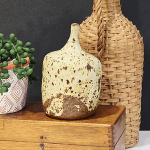 May include: A speckled ceramic vase with a narrow neck and rounded body. The vase is cream-colored with brown spots and sits on a wooden box. A woven bottle and a potted plant are in the background.