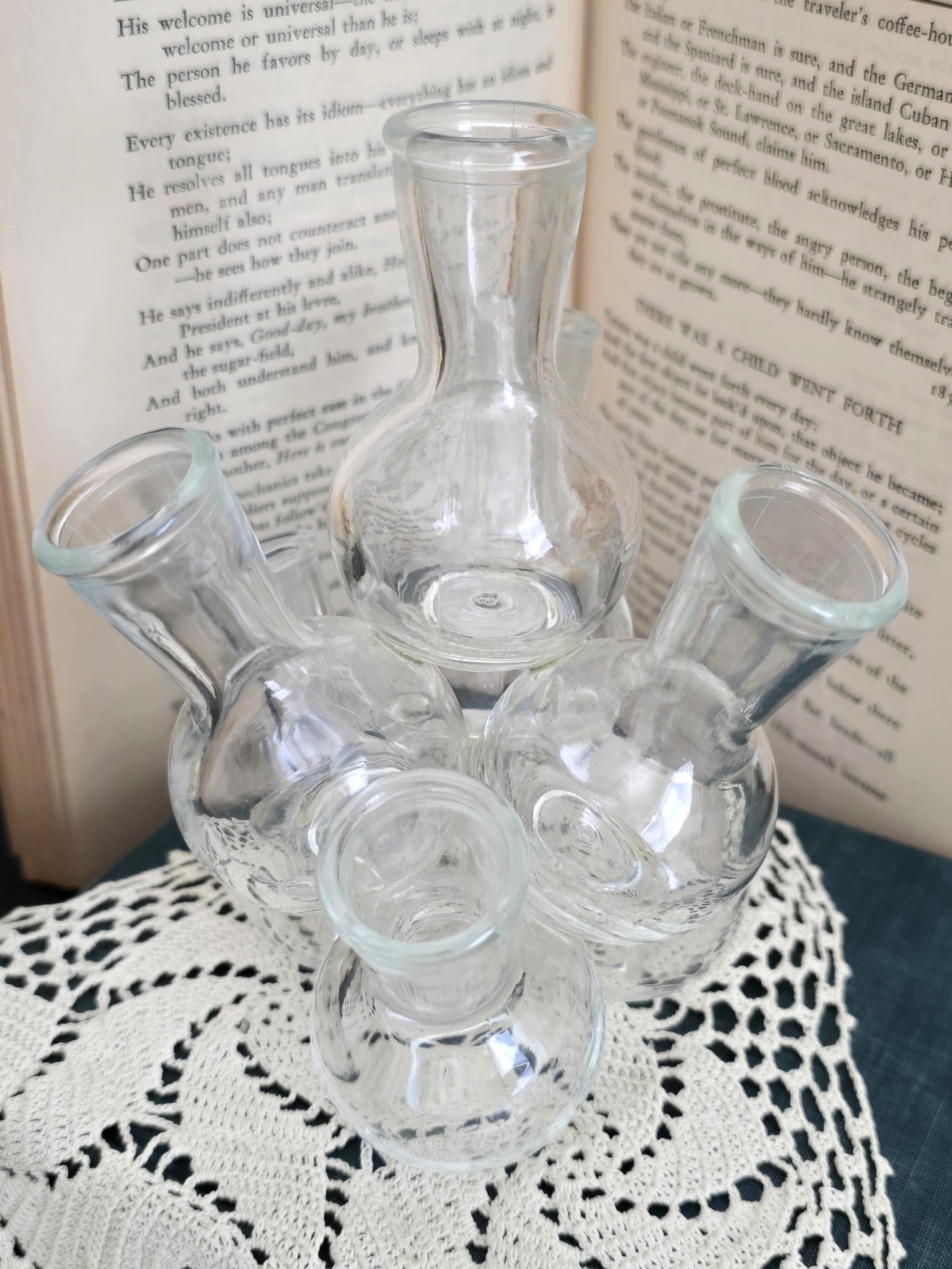 Vintage Glass Propagation Station Plants - Propagation Cluster Bud Vases - Growing Plants flower arrangements , Glass Centerpiece