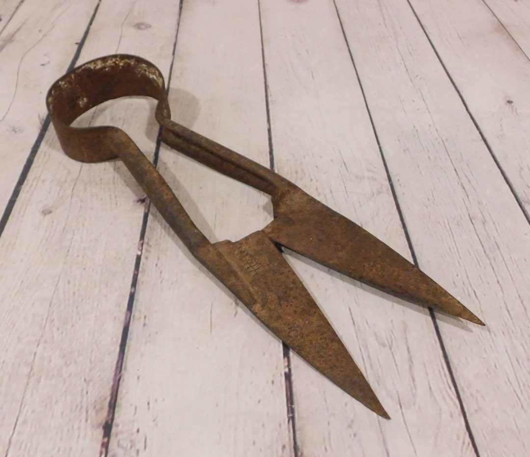 Metal Sheep Shears, Antique and Vintage Farm & Farmhouse, Western Shear