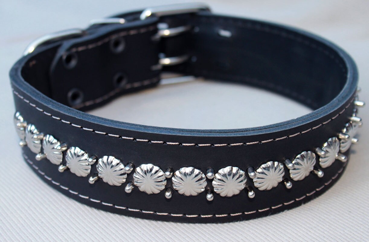 Latigo Leather Studded Spiked Dog Collar Black Sized to Fit Etsy