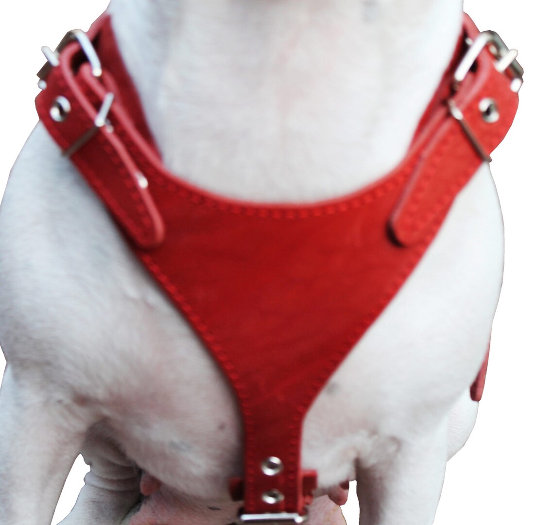 Real Leather Dog Harness 2530 Chest Size 1 Etsy