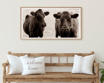 Farmhouse Decor, Cow Photograph, Farm Wall Art on Print or Canvas, Rustic Cow Art Print in Sepia or Black & White