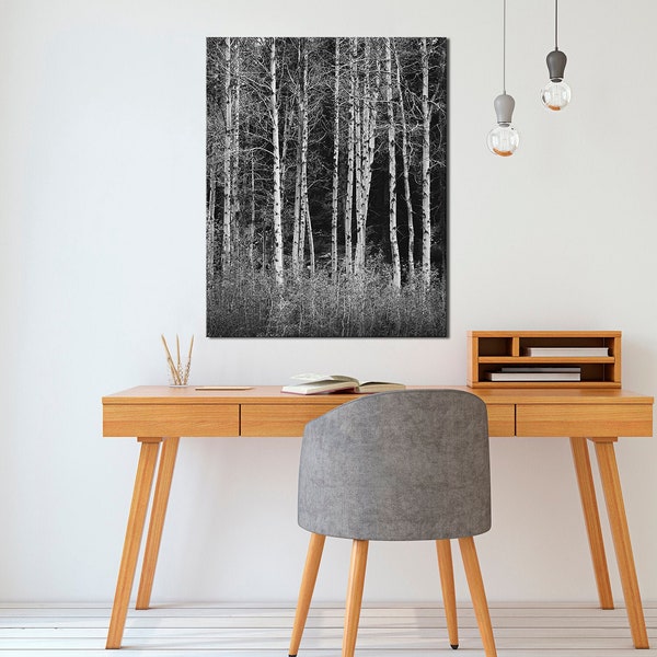 Aspen Tree Print, Black and White Photography, Landscape Art on Print, Canvas or Metal, Rustic Lodge Home Decor