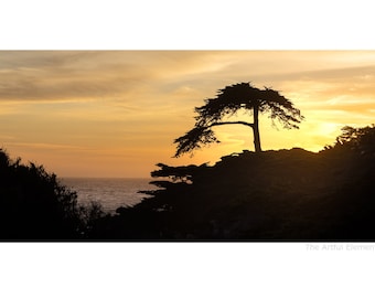 Big Sur Sunset Art, Calming Coastal California Seascape on Print or Canvas
