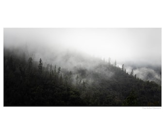 Foggy Forest Print, Mountain Landscape Print, Misty Mountain Art on Print or Canvas