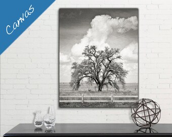 Canvas art, Black and White art, Large wall art, Farmhouse decor, Bedroom wall art, California, Print, Mighty Oak Tree