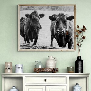a framed black and white photograph of two cows standing in a field, hanging on a wall above a white cabinet with various decorative items on top.