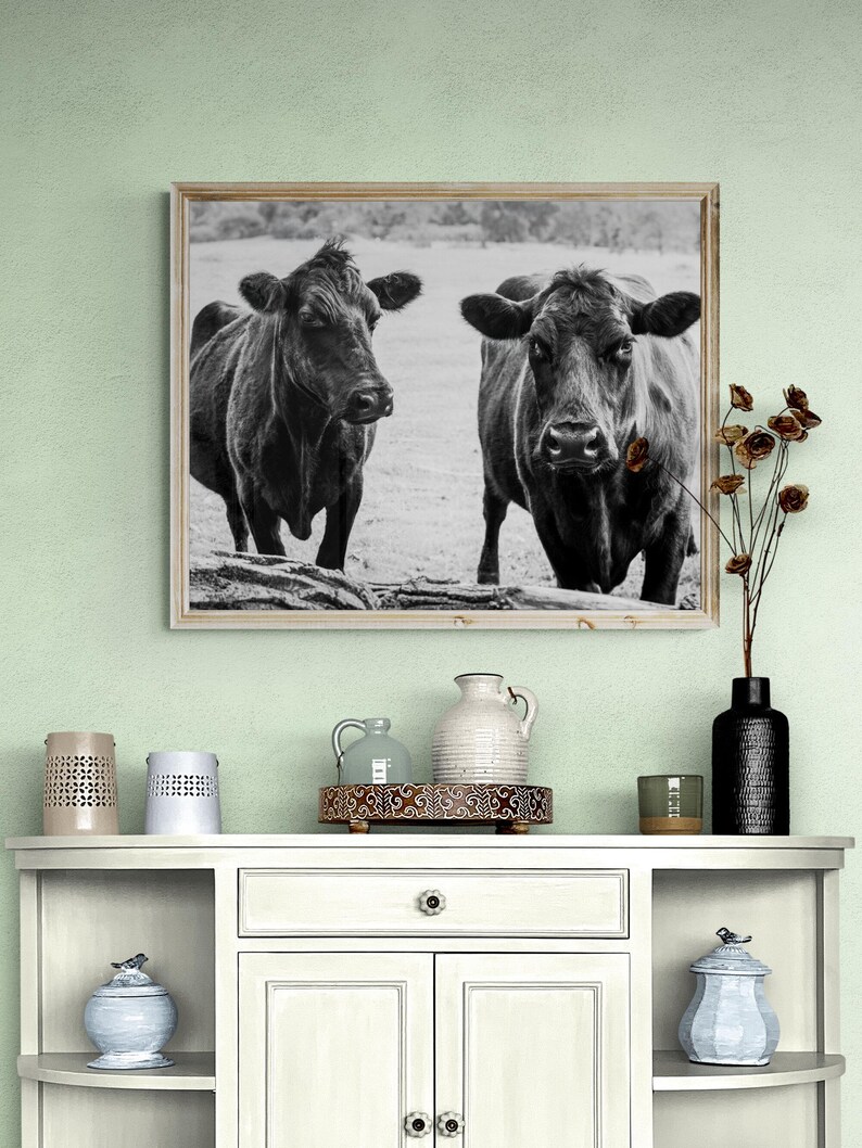 a framed black and white photograph of two cows standing in a field, hanging on a wall above a white cabinet with various decorative items on top.
