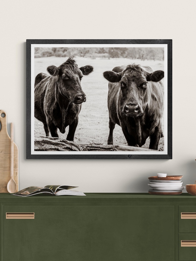 Sepia photograph of two cows staring. Framed in a simple black frame it is hanging on the wall above a green credenza.