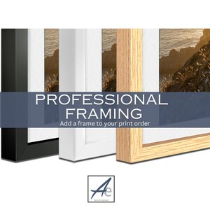 Add a frame to your order, Professional Framing ADD ON, Contemporary Wood Frame with your print purchase