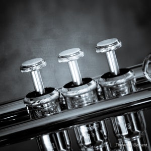 Trumpet Art Print, Music Room Decor, Gift for Trumpet Player, Trumpet Jazz Art on Print, Canvas or Metal