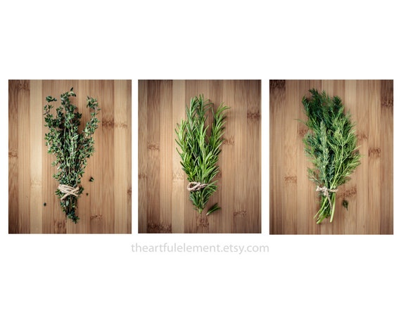 Kitchen decor, Herb prints, Cooking art, Large wall art set, Large Home décor, Set of 3 prints / Culinary Herbs photo set