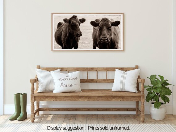 Farmhouse Decor, Cow Photograph, Farm Wall Art on Print or Canvas, Rustic Cow Art Print in Sepia or Black & White