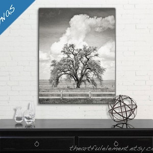 Canvas art, Black and White art, Large wall art, Farmhouse decor, Bedroom wall art, California, Print, Mighty Oak Tree