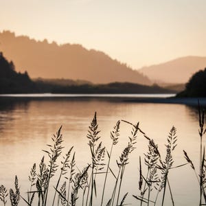 River Sunset Fine Art Photograph, Dusk Nature Photography on Canvas, Print or Metal, Dusk Landscape, Calming Wall Art image 1