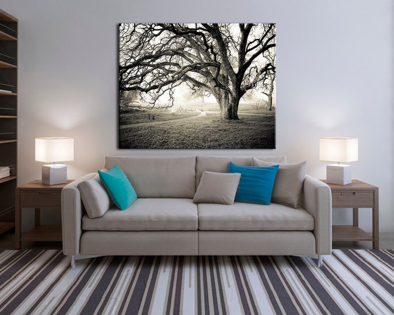 Black and white photography, Canvas wall art, Original Art, Landscape Print, Tree wall art, Oak tree, Misty Morning B&W image 1