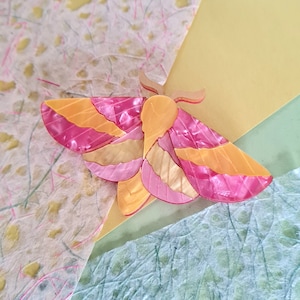 Rosy maple moth statement brooch