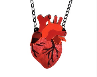 Anatomical heart necklace