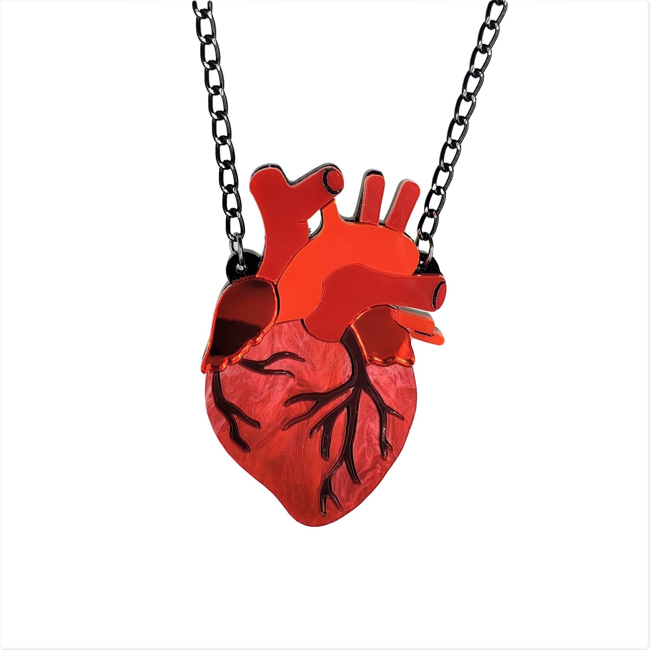 de corazón anatómico - Etsy