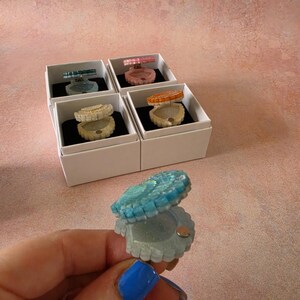 May include: A collection of small, clam-shaped resin trinket boxes with hinged lids. Each box features a unique colour, including blue, pink, white, and orange. The boxes are presented in individual white square gift boxes with black inserts.