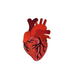 Anatomical heart brooch