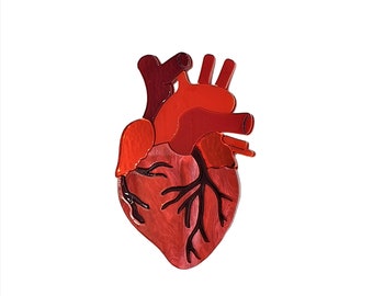 Anatomical heart brooch