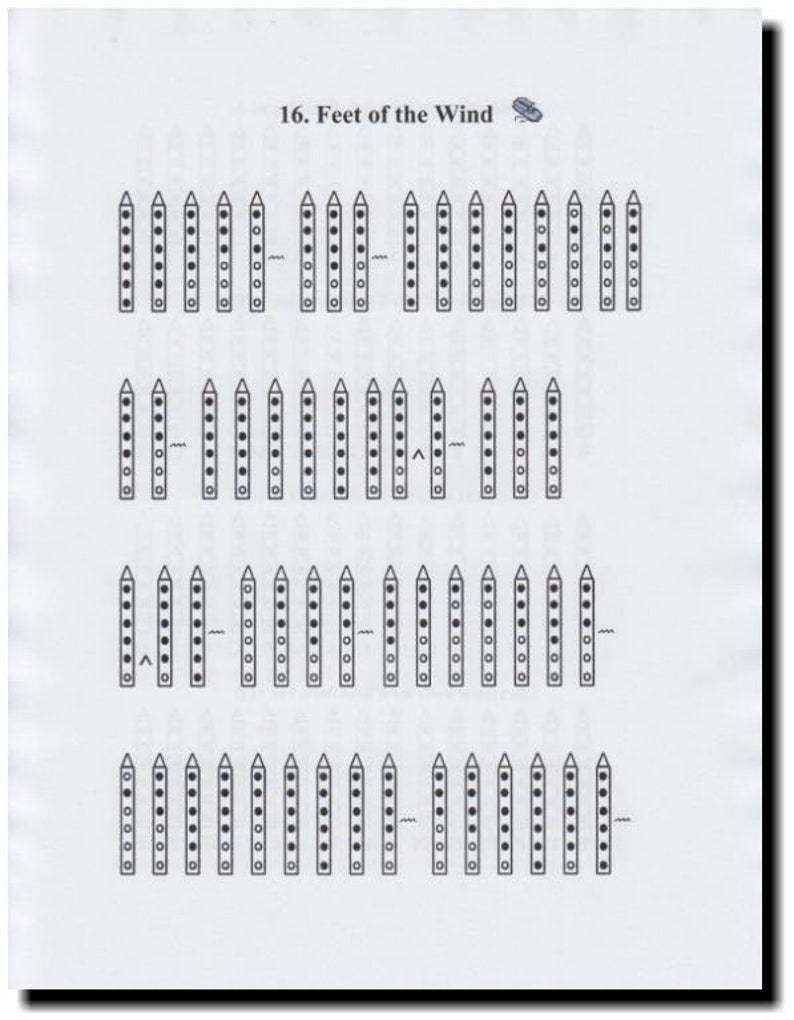Songbook for Native American Flute Night Songs for 6 Hole Flute Song