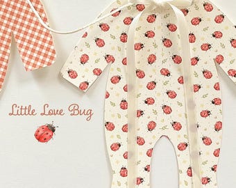 Red Ladybug Pajama Banner, Baby Shower Decor Banner, Little Lovebug Decorations, Vintage Red Gingham and Bows