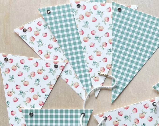 Apple of my Eye Bunting Decor, Super Heavy Card Stock, Apple Theme Baby Shower, Green Gingham, Birthday Decorations,  5x7" Adjustable Flags