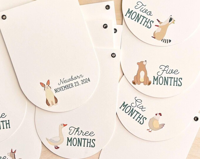 First Birthday Photo Banner - 4"x4" photos, 14 - 5"x7" Milestone Cards, Favorite Animal, Personalized Birthdate Keepsake, Adjustable Length