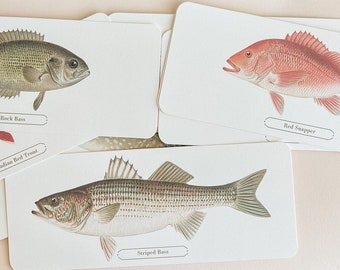 Fish Flashcard Set