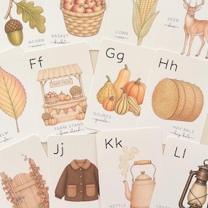 May include: A set of twelve educational alphabet cards featuring illustrations of autumn-themed items including an acorn, basket of apples, corn, deer, elm leaf, farm stand, gourds, hay bale, ivy-covered gate, jacket, kettle, and a lantern.