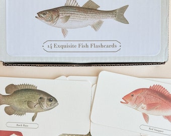 Fish Flashcard Set