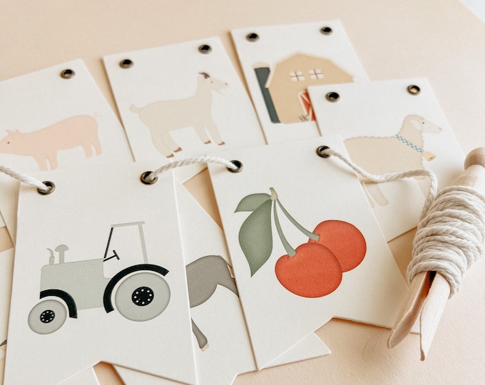 Birthday and Baby Shower Nursery Farm Decor Mini 2.5" x 4" Pennants
