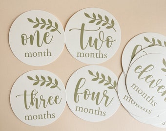 Sage Green Baby Milestone Card Set for Photography Prop for Baby's First Year Photos in Neutral Green Baby Shower Gift for Boy or Girl  Baby