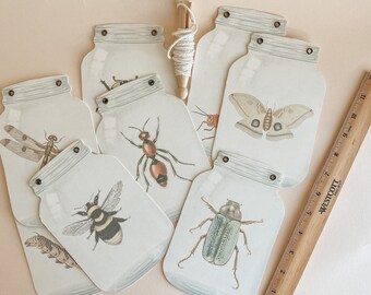 Insect Jars For Classroom Decor