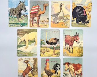 Animal Flashcards Vintage Style