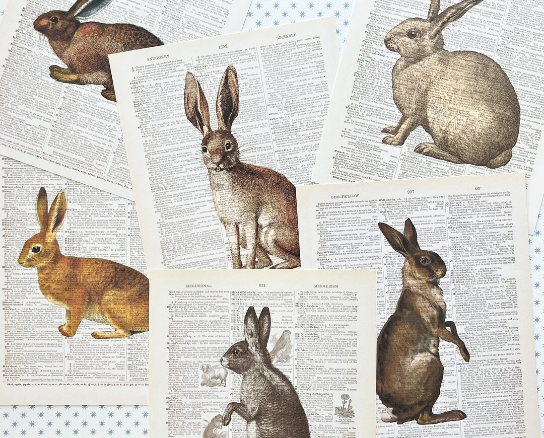 Rabbit Bunny Art Print Set Dictionary Art Reproduction Etsy